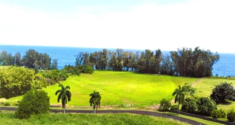 Beach Rd #LOT  13, Pepeekeo, HI 96783 - #2