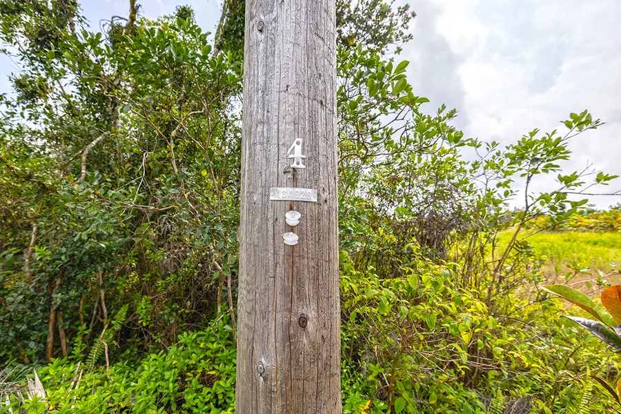 16-463 Pikake St, Keaau, HI 96749 - #3