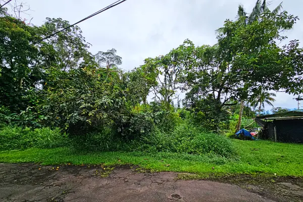 Driftwood Rd #Lot 202, Pahoa, HI 96778