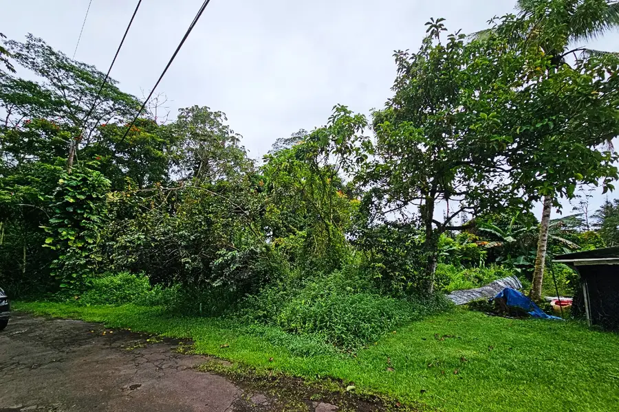 Driftwood Rd #Lot 202, Pahoa, HI 96778 - #2