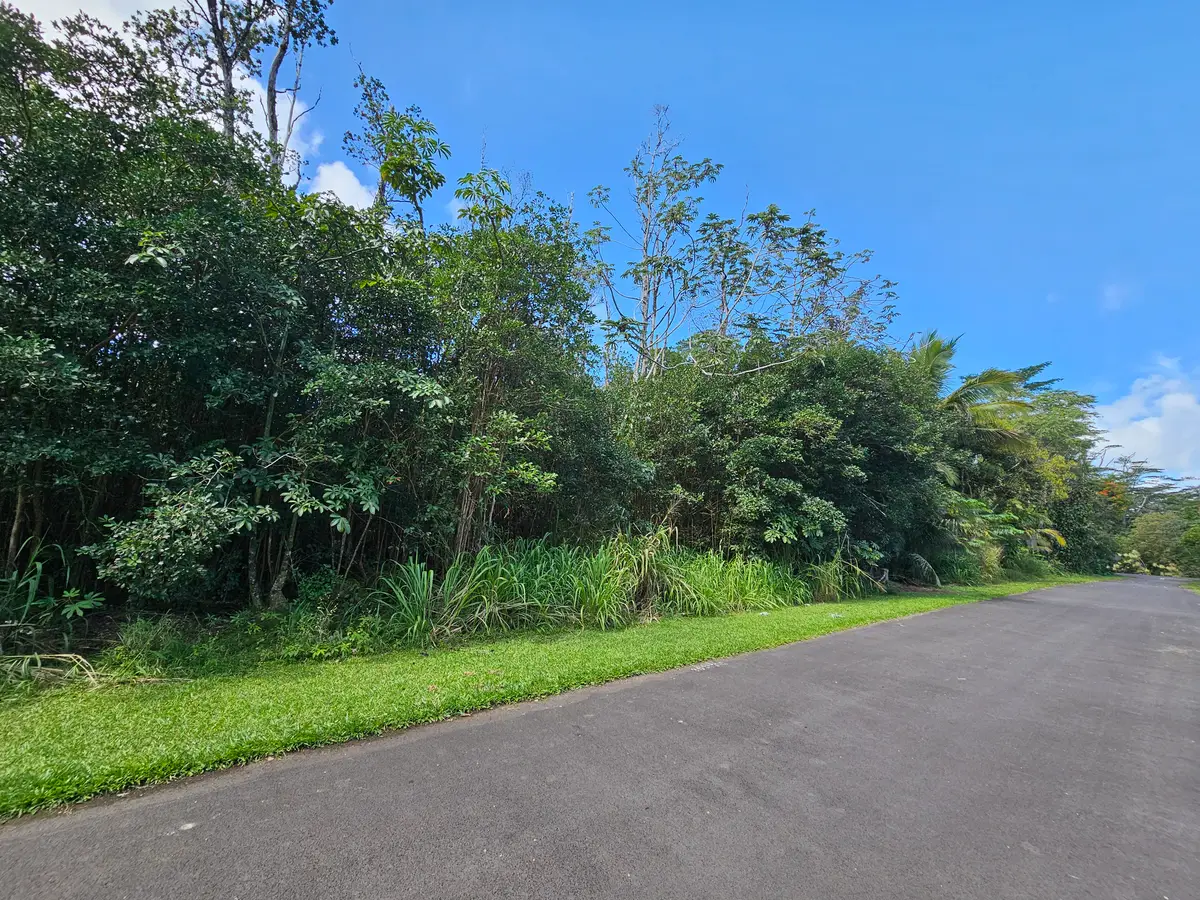 Hinalea St, Pahoa, HI 96778 - #1