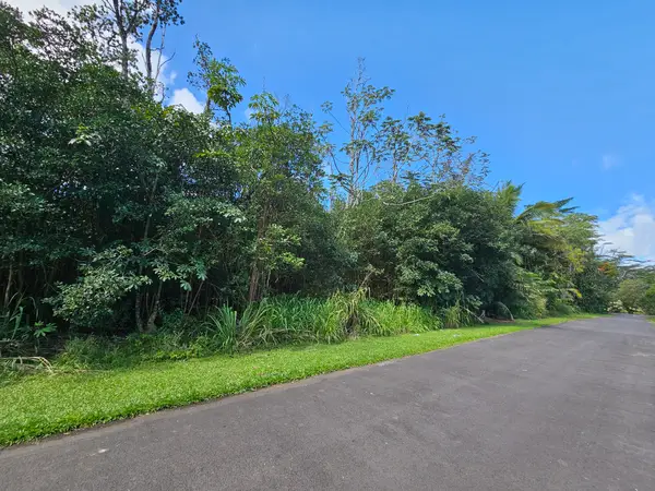 Hinalea St, Pahoa, HI 96778