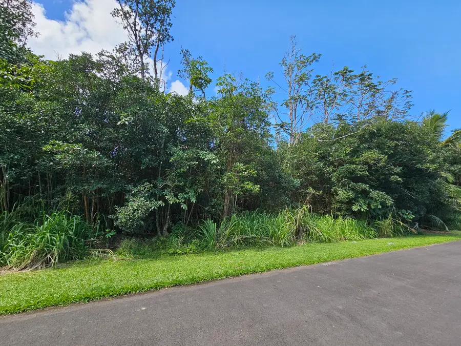 Hinalea St, Pahoa, HI 96778 - #2