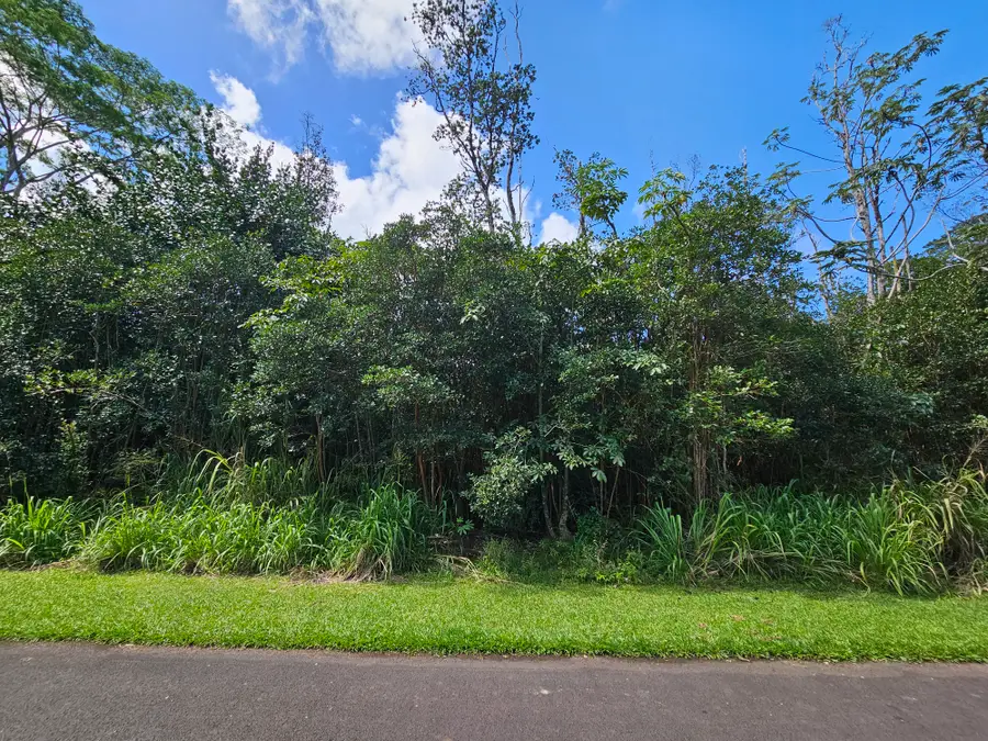 Hinalea St, Pahoa, HI 96778 - #3