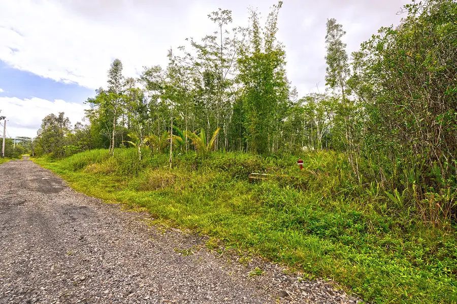 Mapuana St, Kurtistown, HI 96760 - #2