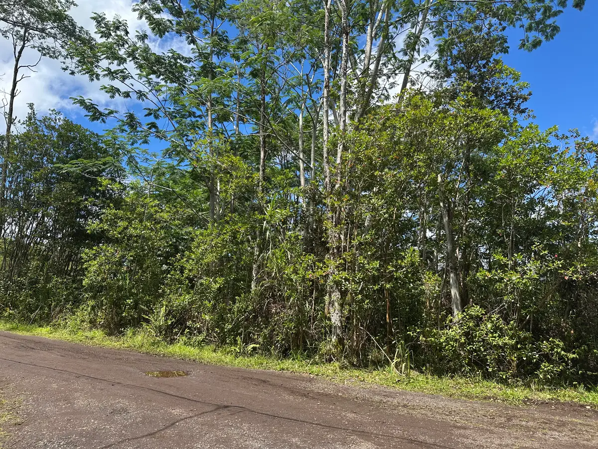 King Kamehameha Blvd, Keaau, HI 96749 - #1