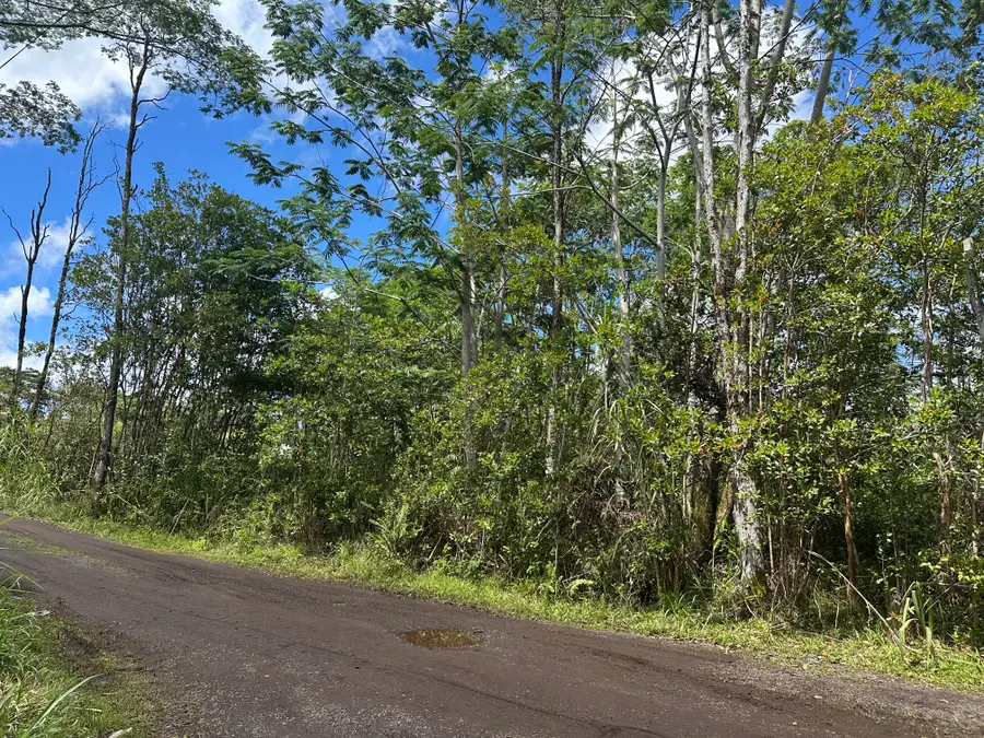 King Kamehameha Blvd, Keaau, HI 96749 - #3