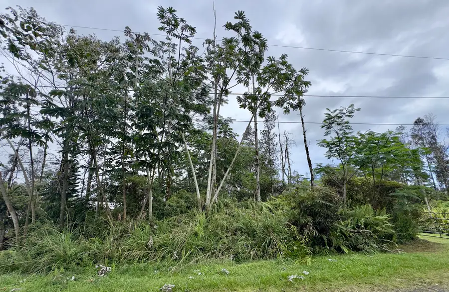 Ginger Rd, Pahoa, HI 96778 - #2