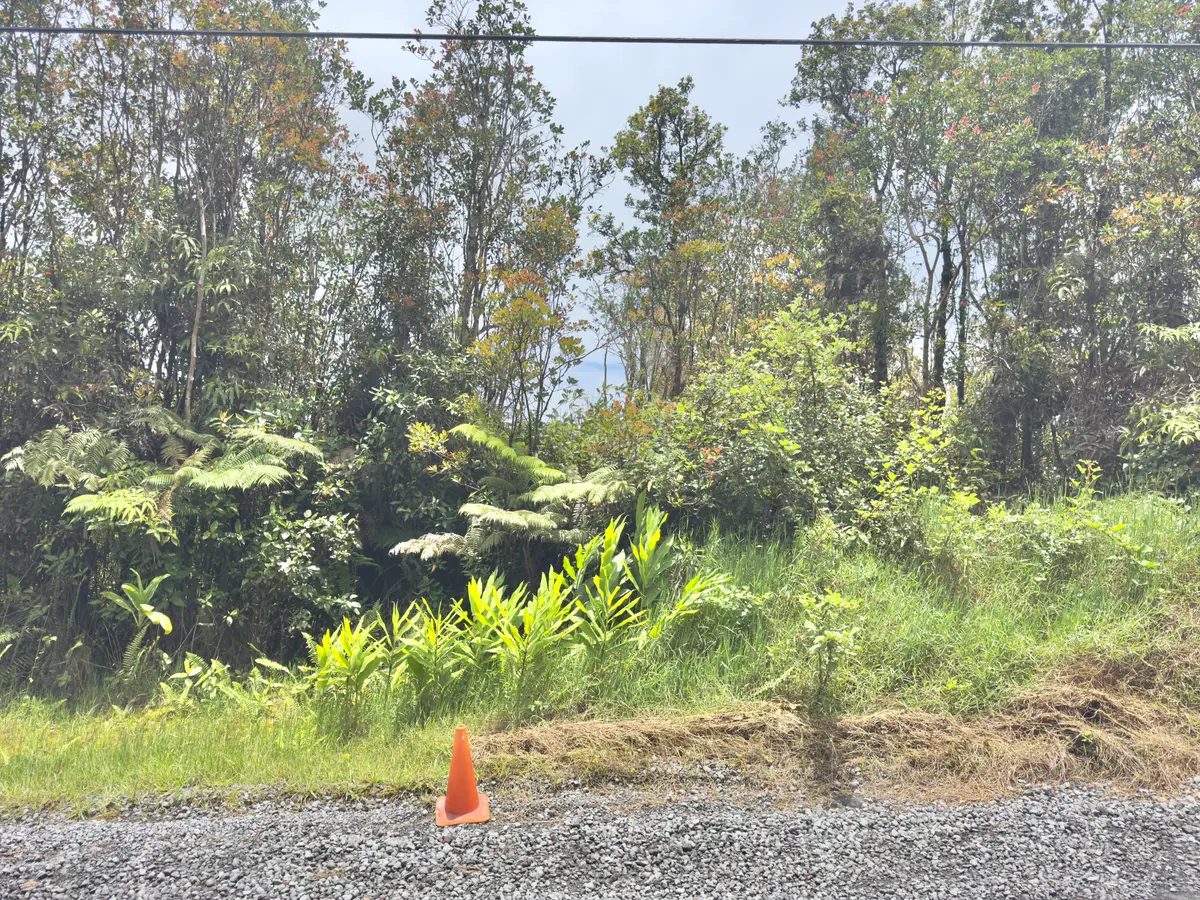 Jungle King Ave, Volcano, HI 96785 - #1