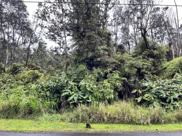 Nahelenani St, Volcano, HI 96785