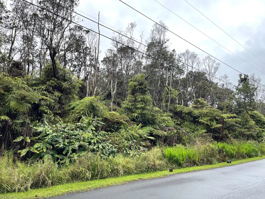 Nahelenani St, Volcano, HI 96785 - #2
