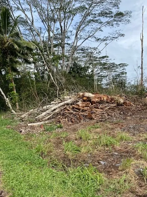 Heepali St, Pahoa, HI 96778 - #3