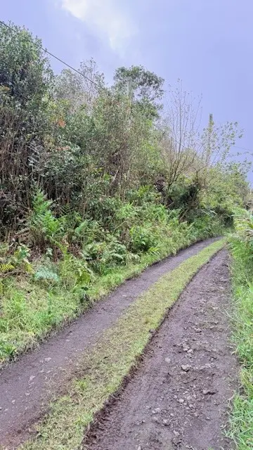 Oahu St, Mountain View, HI 96771