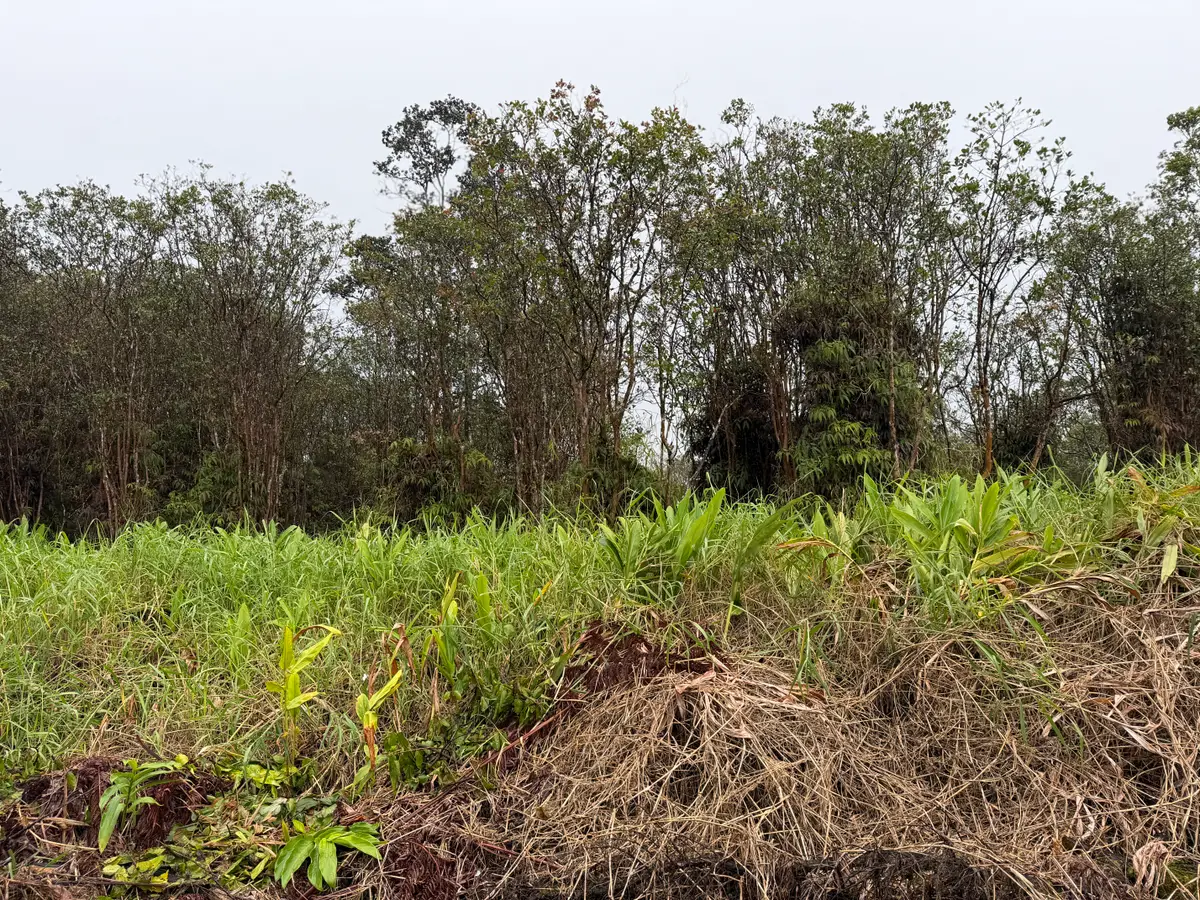 Road 4, Mountain View, HI 96771 - #1