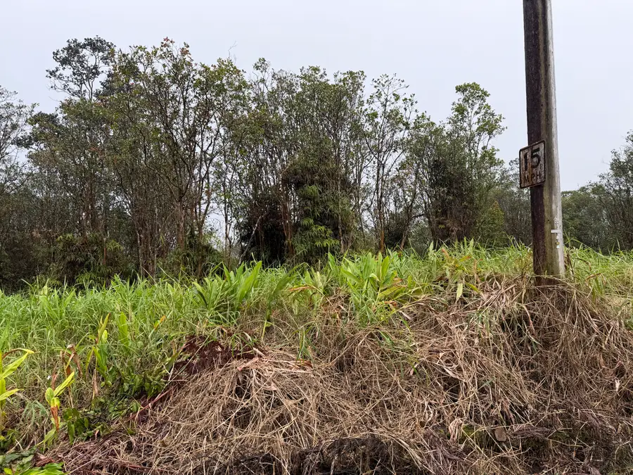 Road 4, Mountain View, HI 96771 - #2