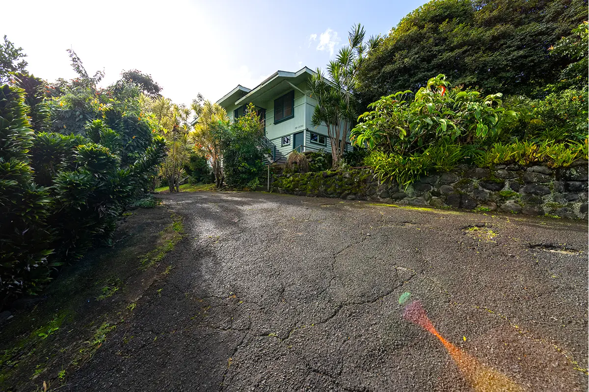 36-2335 Puualaea Homestead Rd, Laupahoehoe, HI 96764 - #1
