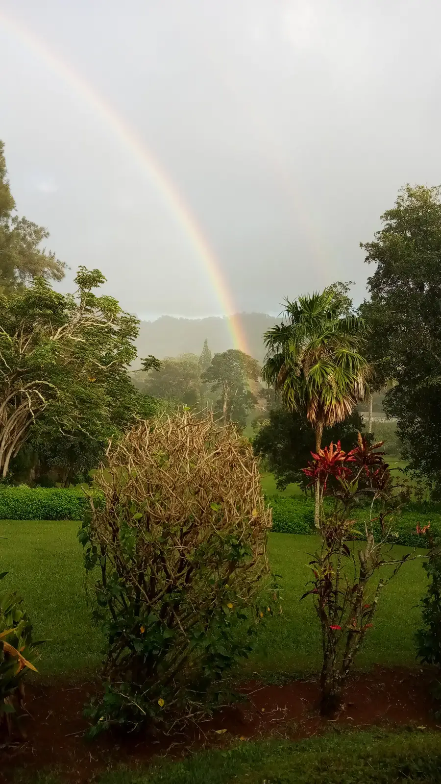 597 Puuopae Rd, Kapaa, HI 96746 - #3