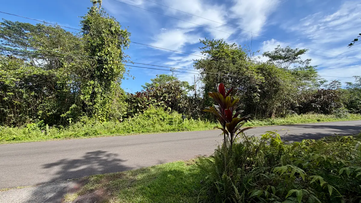 Kupono St, Pahoa, HI 96778 - #1