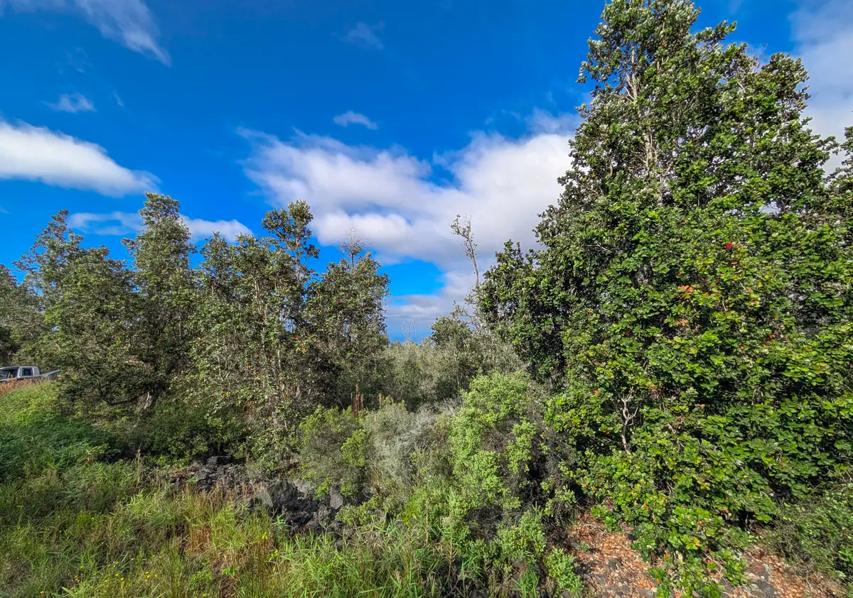 Catamaran Ln, Ocean View, HI 96737 - #1