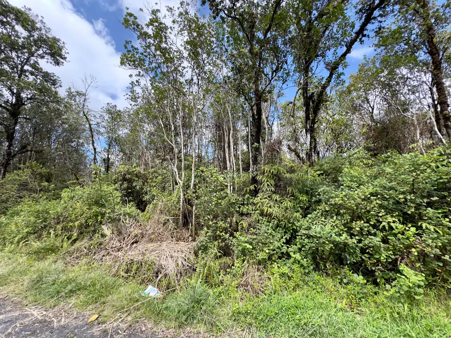 Kopaa St, Mountain View, HI 96771 - #2