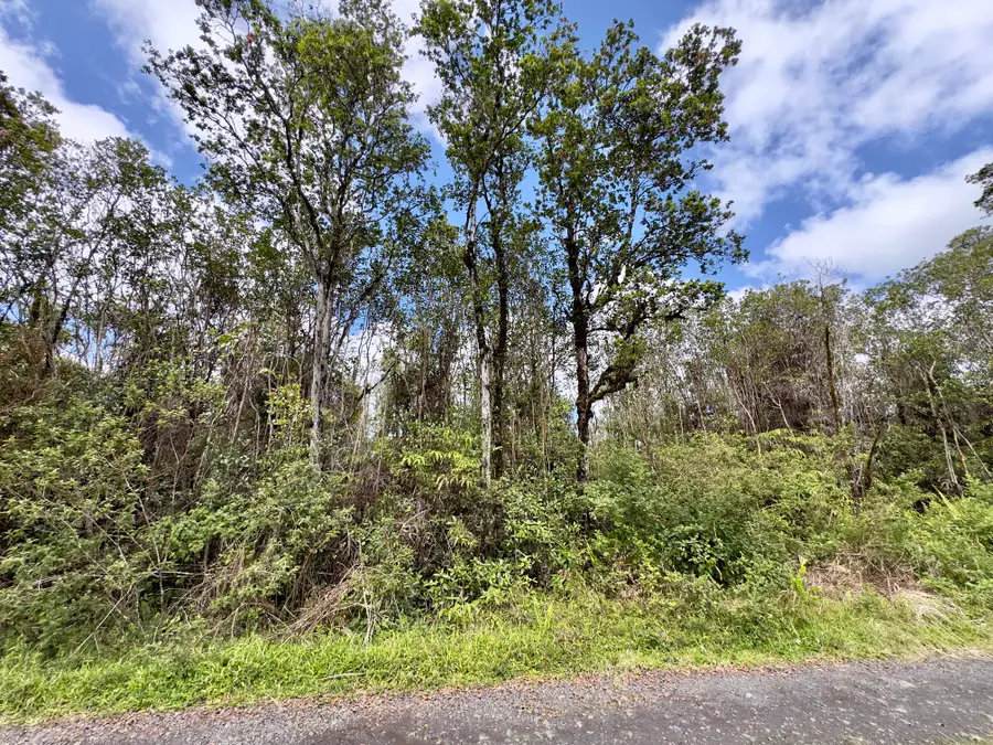 Kopaa St, Mountain View, HI 96771 - #3