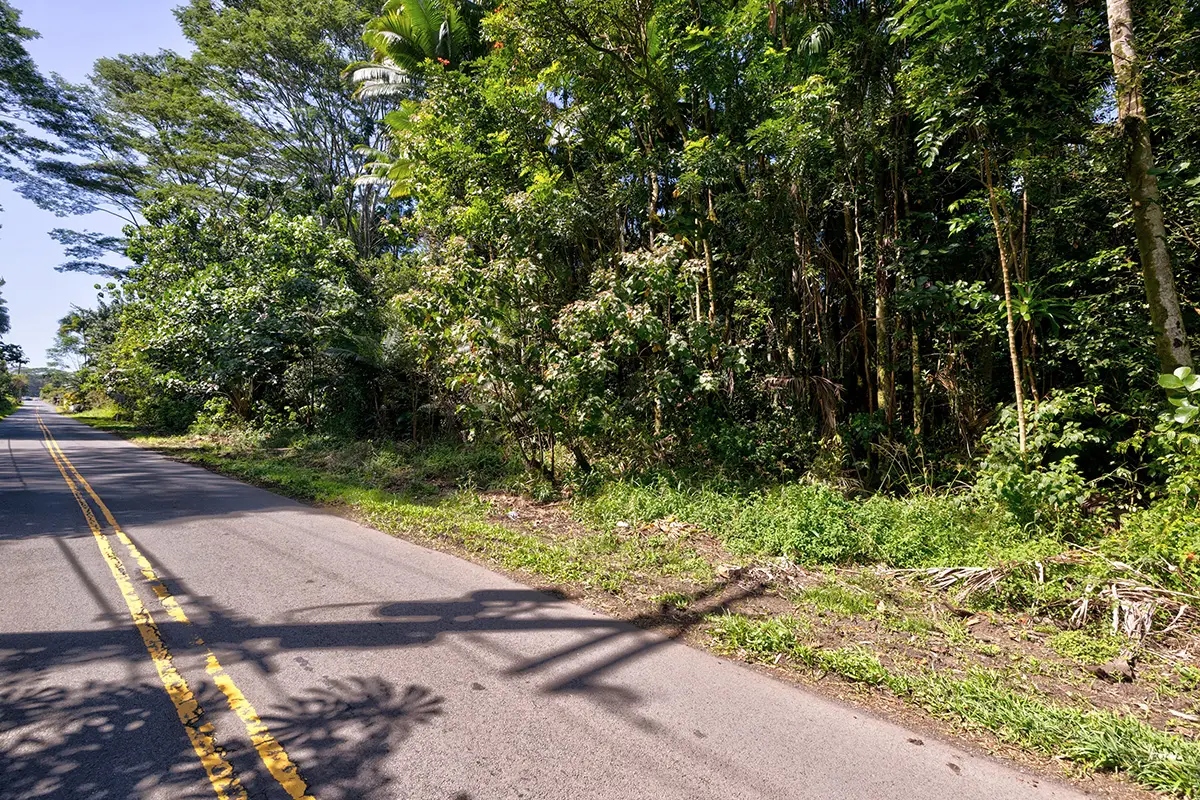 Address Withheld By Seller, Pahoa, HI 96778 - #1