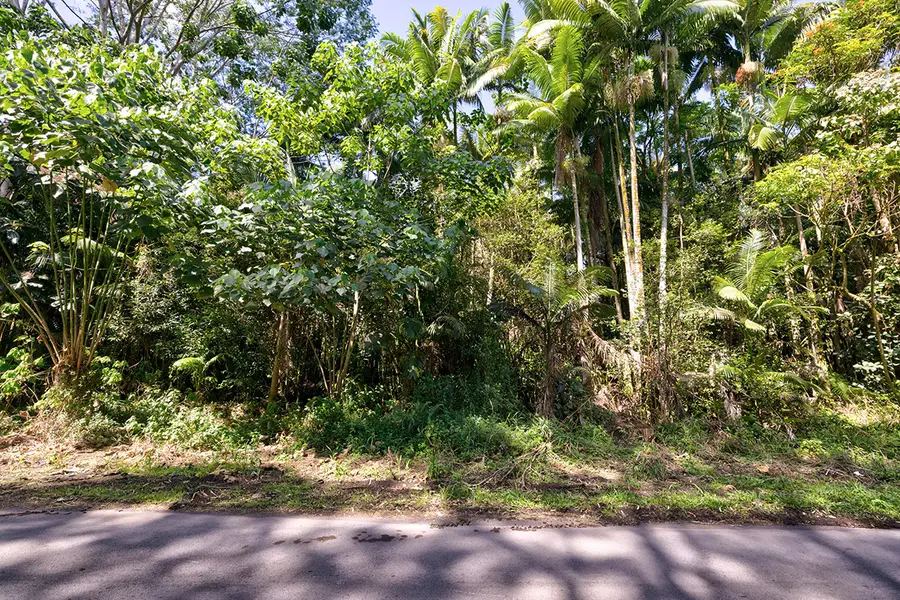 Address Withheld By Seller, Pahoa, HI 96778 - #3