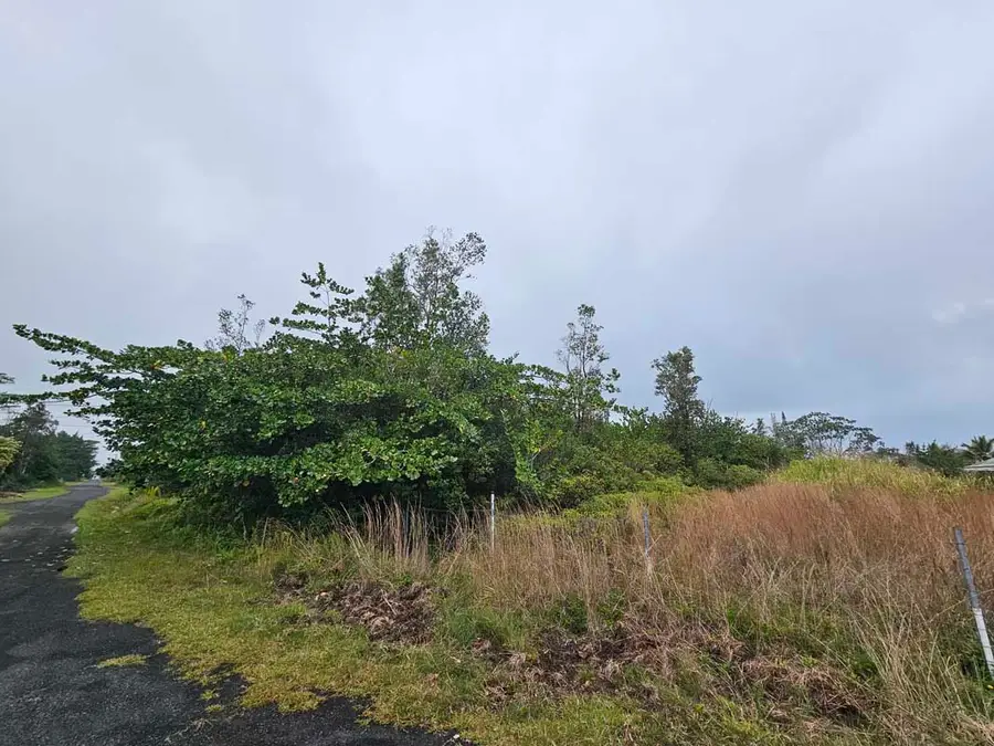 33rd Ave, Keaau, HI 96749 - #3
