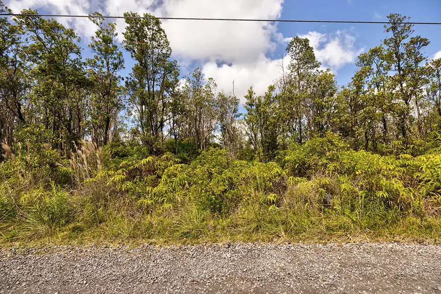 11-2080 Omeka Rd, Volcano, HI 96785 - #2