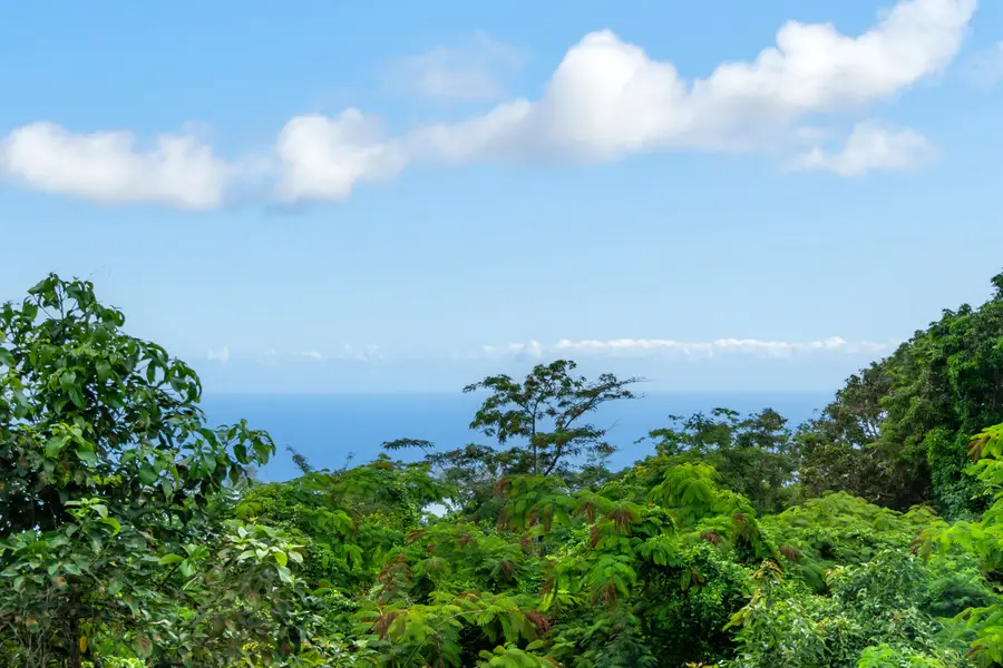 87-3476 Mamalahoa Highway, Captain Cook, HI 96704 - #3