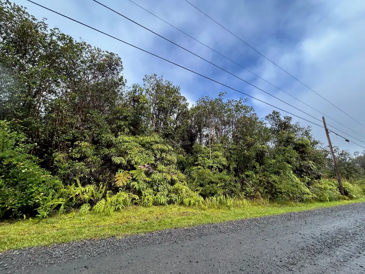 11-2496 Makoa Rd, Volcano, HI 96785 - #1