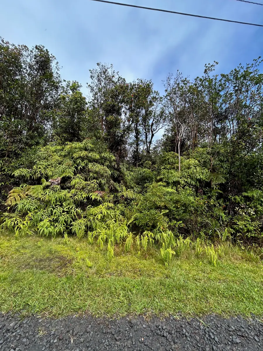 11-2496 Makoa Rd, Volcano, HI 96785 - #2