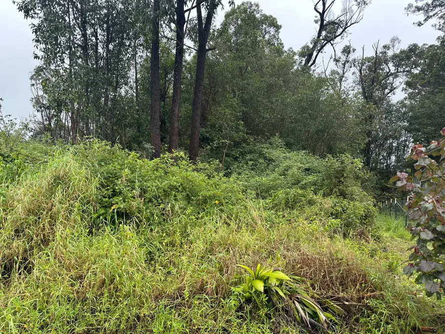 18-4104 Hohiu St, Mountain View, HI 96771 - #3