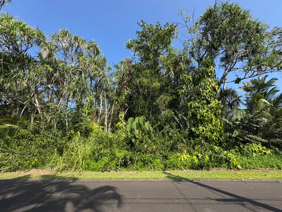 Oopu St, Pahoa, HI 96778 - #2