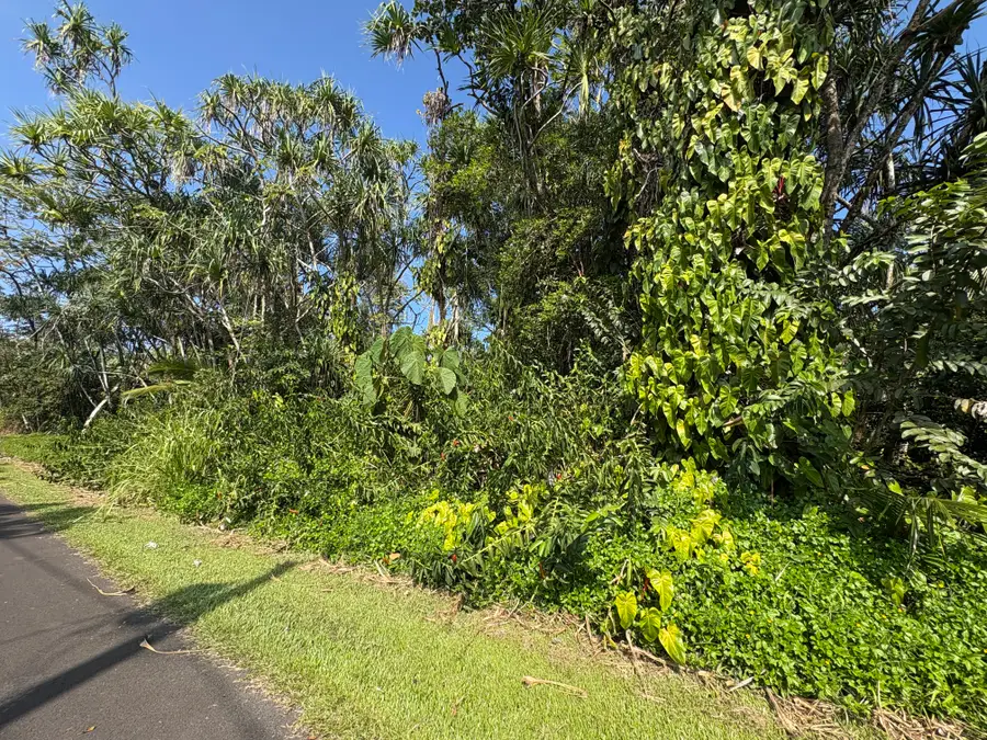 Oopu St, Pahoa, HI 96778 - #3