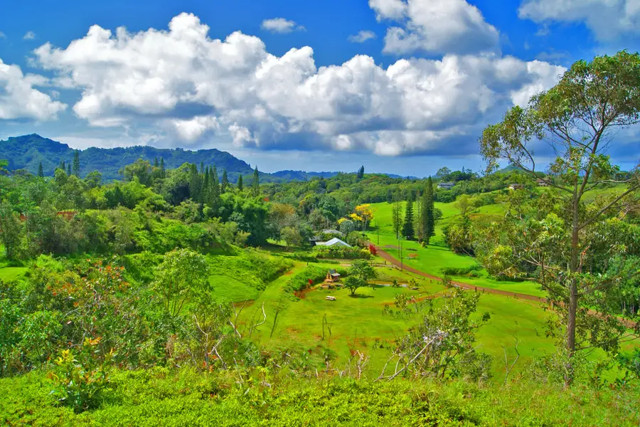 Address Withheld By Seller, Kapaa, HI 96746 - #2