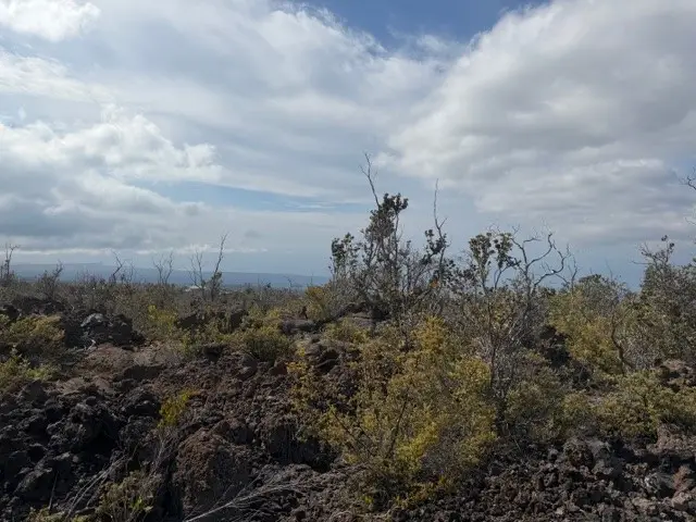 92-2328 Ocean View Pkwy, Ocean View, HI 96737 - #3