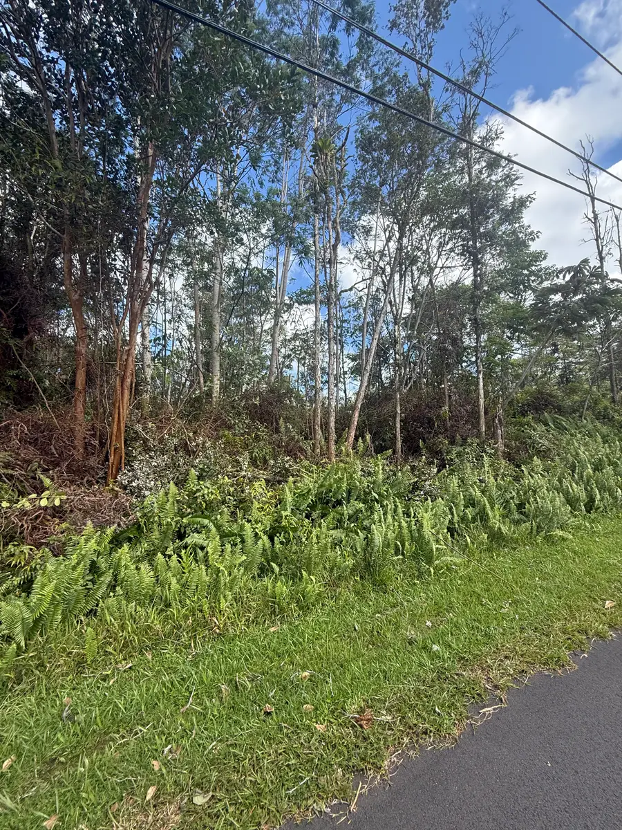 13-3557 Moku St, Pahoa, HI 96778 - #2
