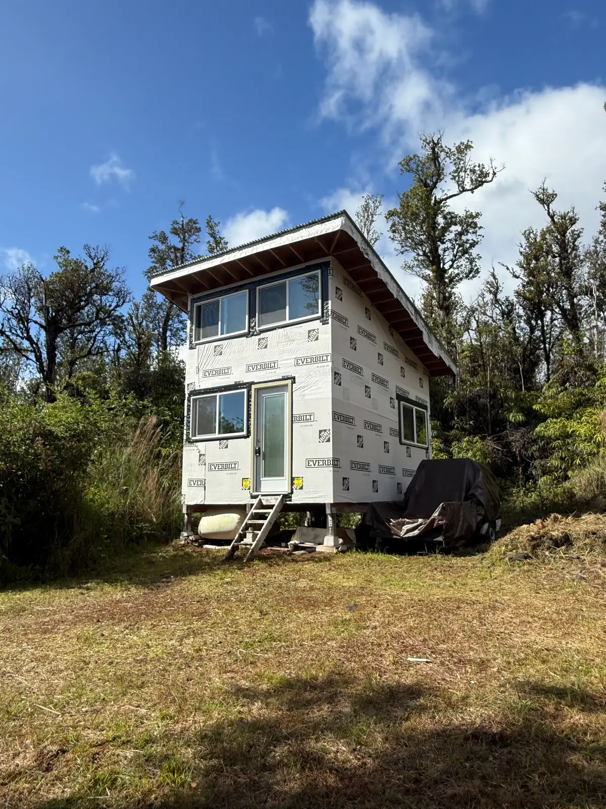 11-3007 Pikake St, Mountain View, HI 96771 - #1