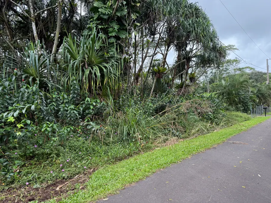 15-2794 Oio St, Pahoa, HI 96778 - #2