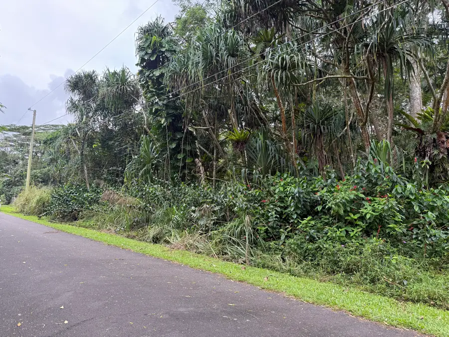15-2794 Oio St, Pahoa, HI 96778 - #3