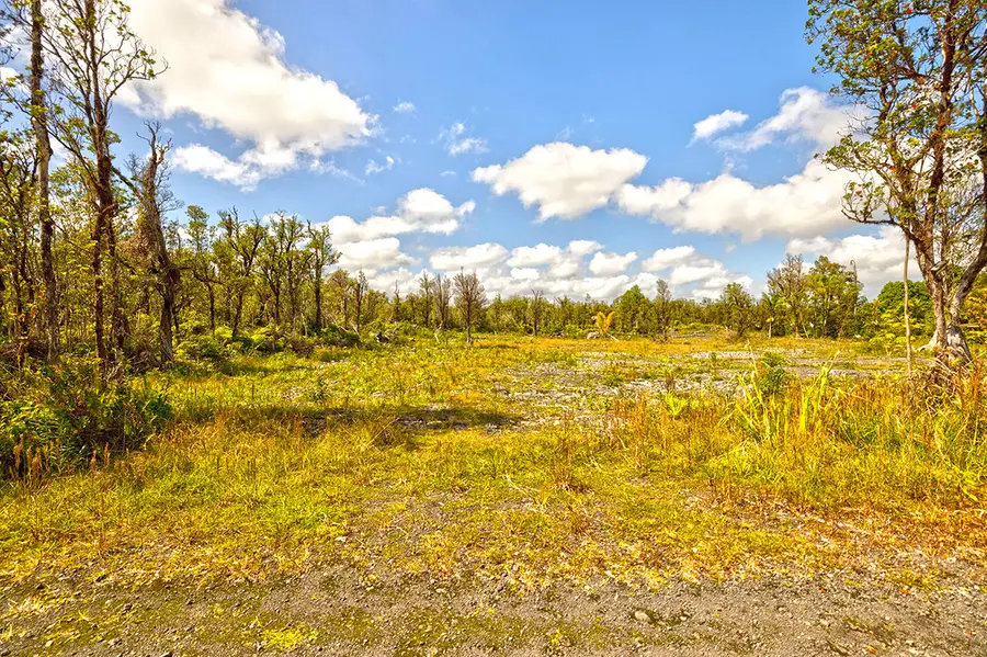 Kopaa St, Mountain View, HI 96771 - #2