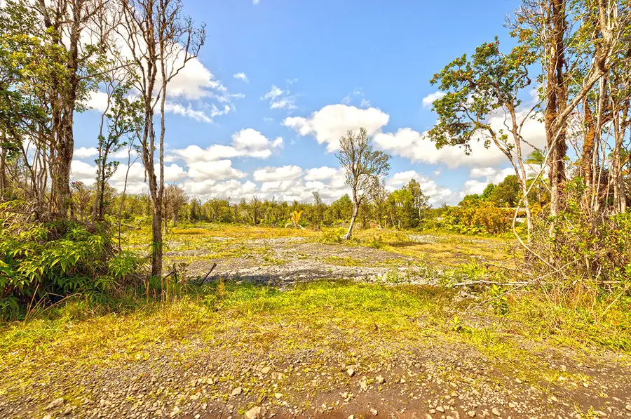 11-1800 Kopaa St, Mountain View, HI 96771 - #2