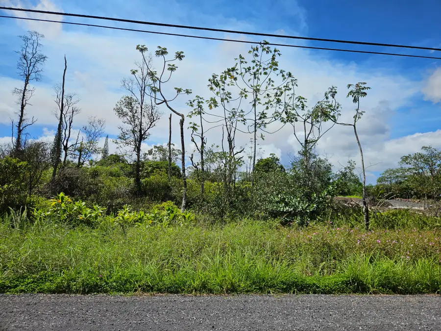 Railroad Ave, Keaau, HI 96749 - #3