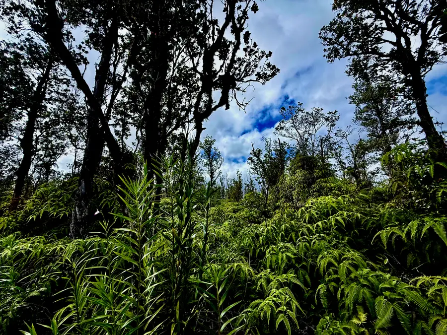 Naia St, Mountain View, HI 96771 - #3