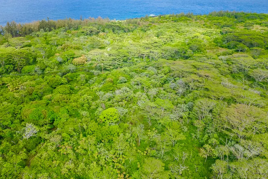 Govt Beach Rd, Pahoa, HI 96778 - #3