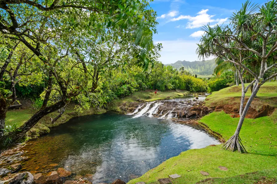 2818 Kamookoa Rd #1, Kilauea, HI 96754 - #3