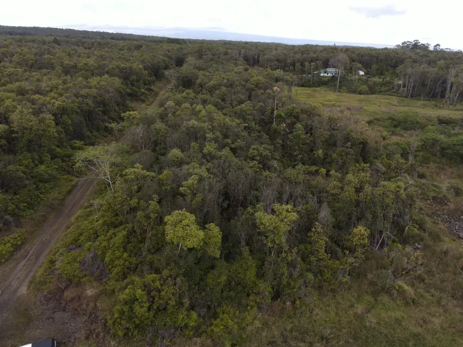 Ihope Rd, Mountain View, HI 96771 - #3