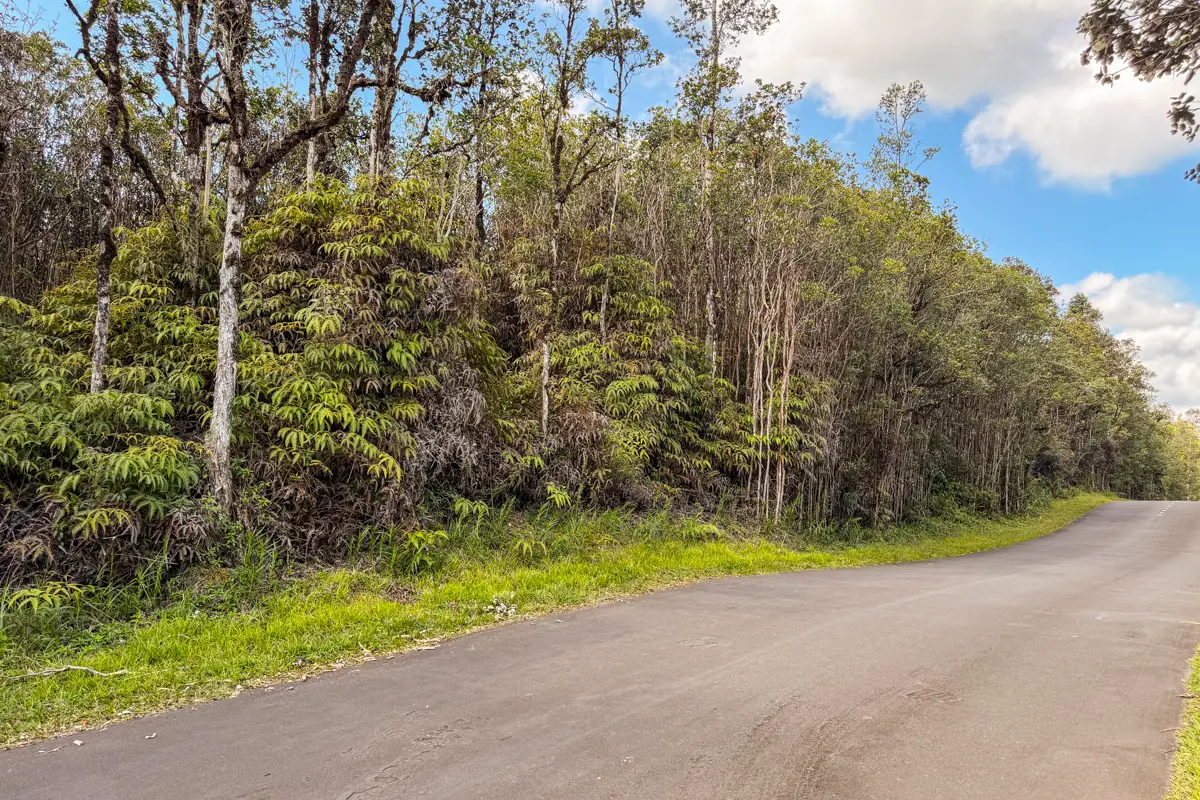 Lehua St, Mountain View, HI 96771 - #1