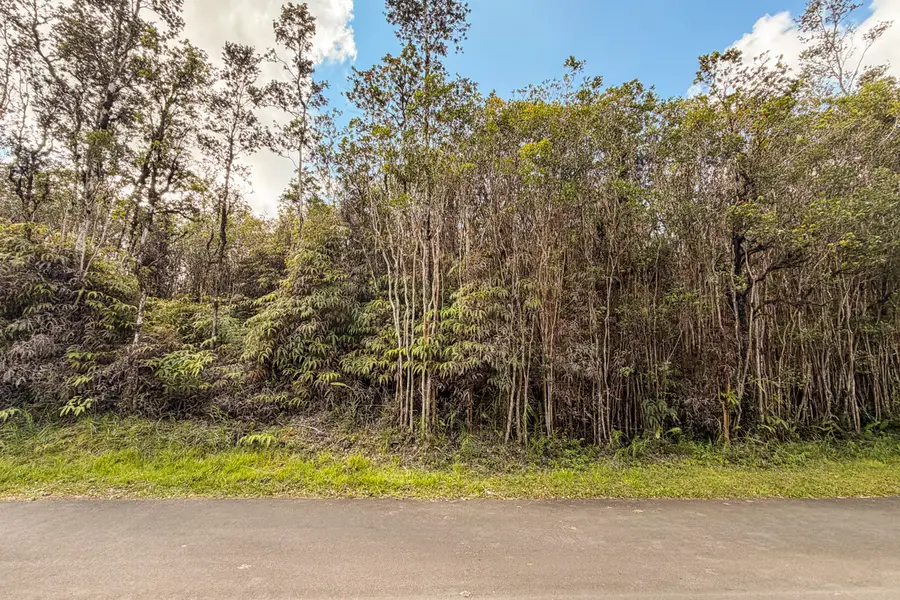 Lehua St, Mountain View, HI 96771 - #2